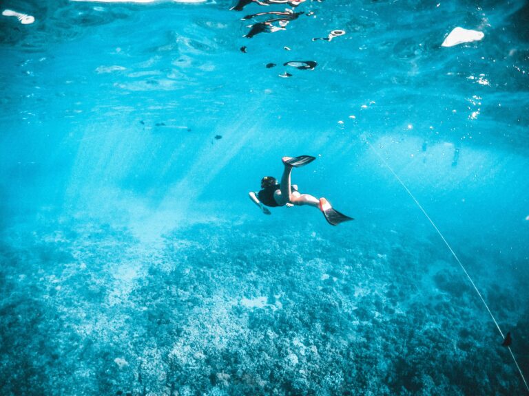 a group of people swimming in the water